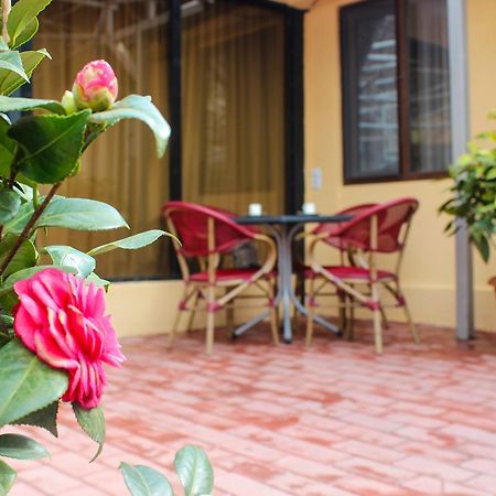 Lasha Apartment Tbilisi Zewnętrze zdjęcie
